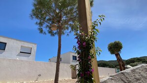Uma pérgola de madeira com plantas trepadeiras, uma árvore e um edifício ao fundo.