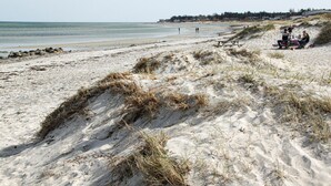 Una playa con dunas de arena, una mesa de picnic y una costa distante con edificios.