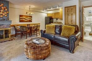 TV, fireplace, books