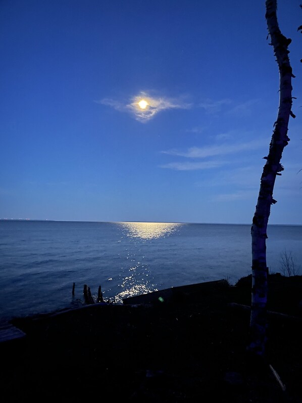 Una escena nocturna con un mar iluminado por la luna y un árbol en primer plano.