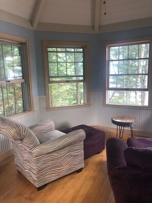 TV connectée, cheminée, lecteur de DVD, livres