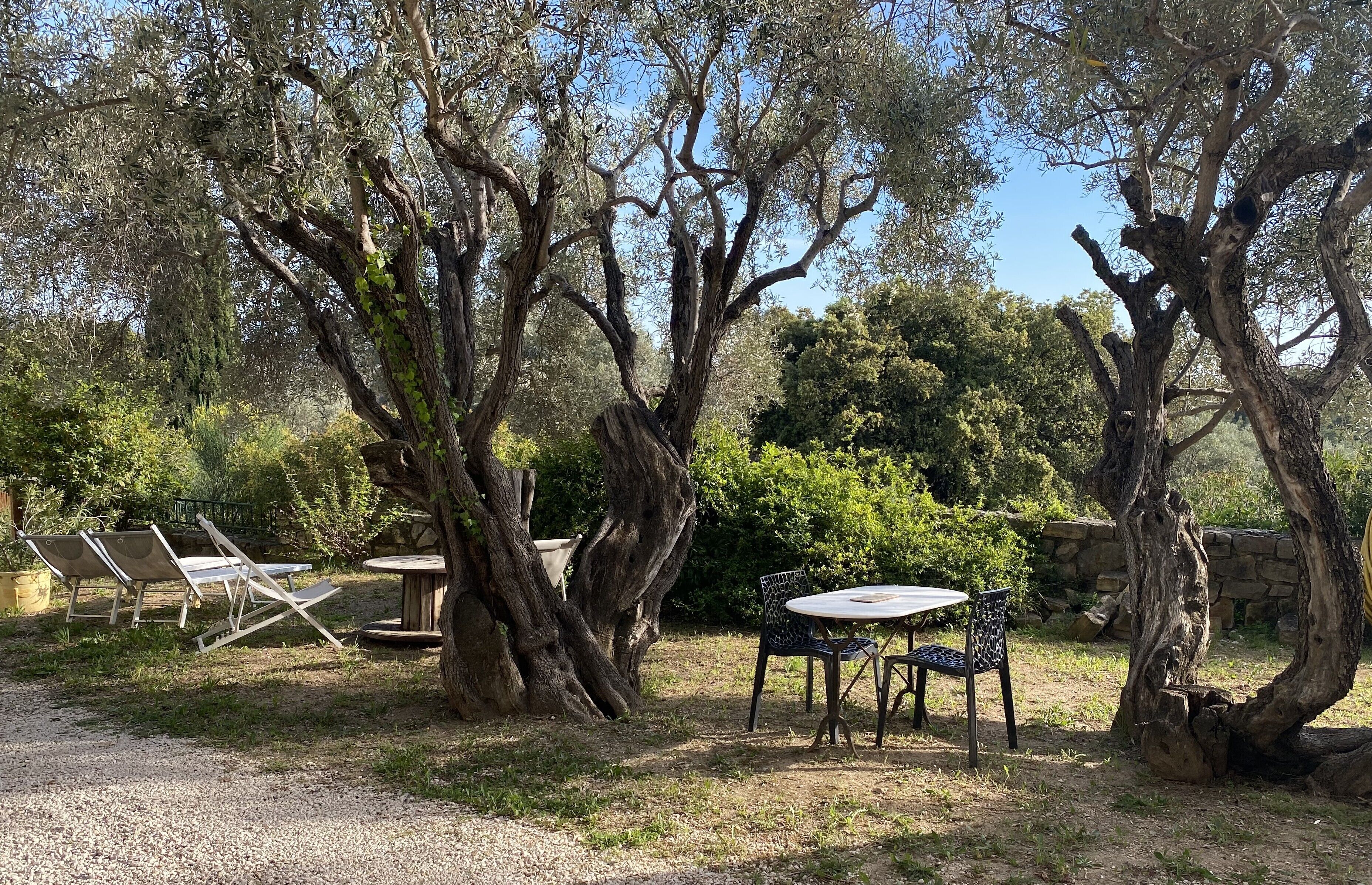Servei de restauració a l'aire lliure