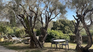 An outdoor seating area with a table and chairs, surrounded by large trees. - Studio with private garden in Sanary (Sanary-sur-Mer)