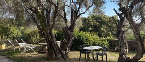 Servei de restauració a l'aire lliure