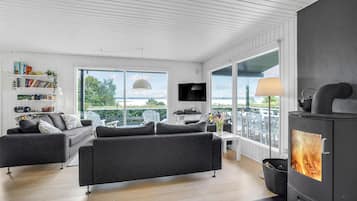 Fernseher, Kamin, DVD-Player