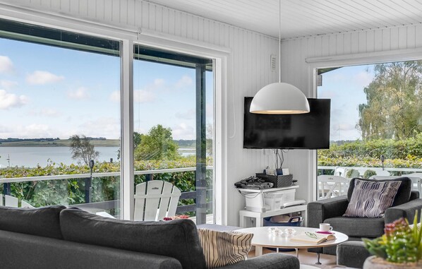 電視、壁爐、DVD 播放機