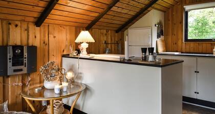 Nice home in Skjern with kitchen