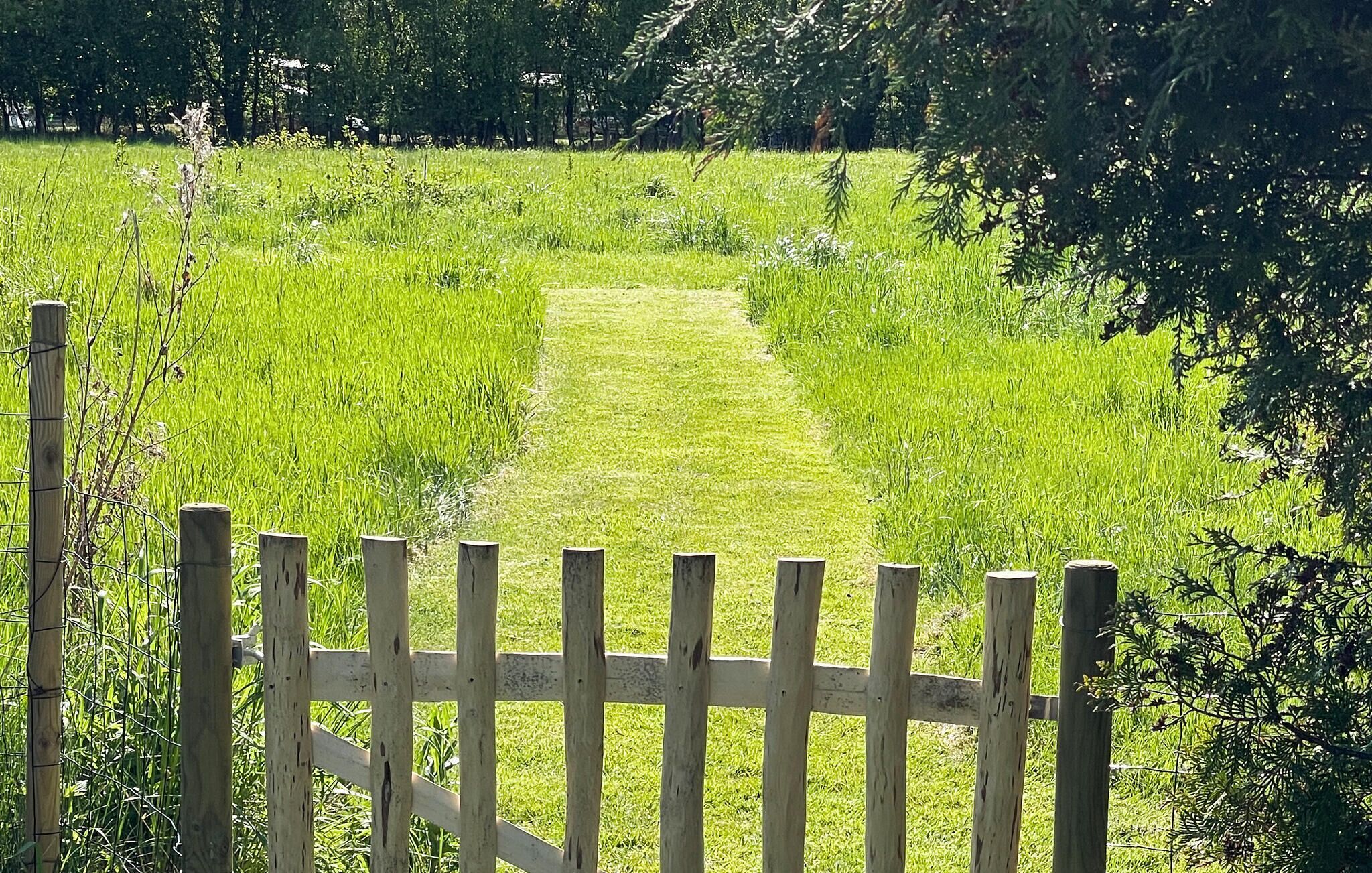 A wooden fence with a path leading through a grassy field.