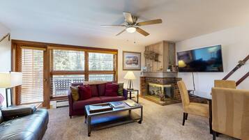 Télévision, cheminée, livres