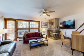 TV, fireplace, books