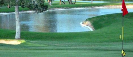 A golf course with a pond, trees, and a flag.