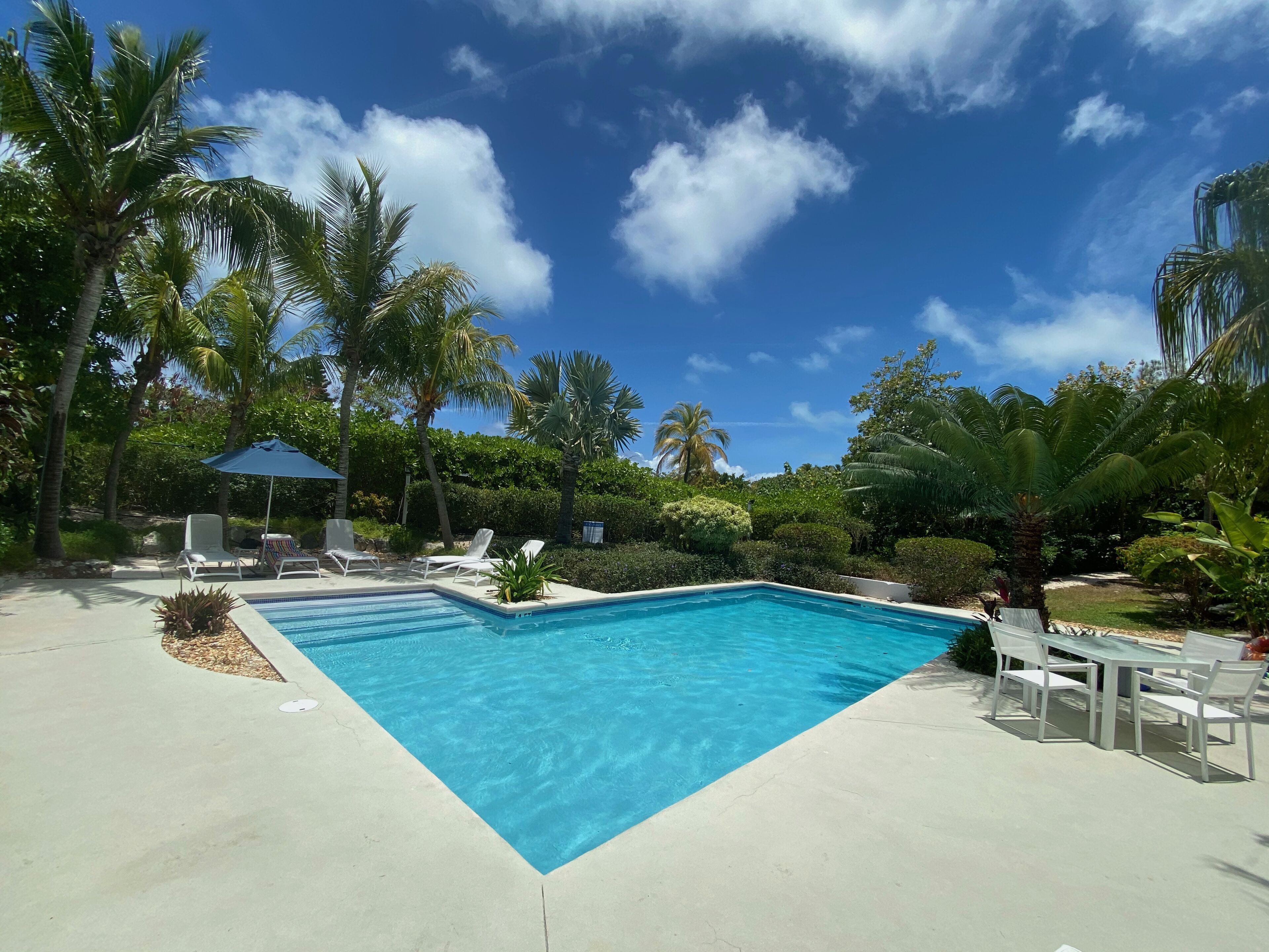 Une piscine rectangulaire à l’eau d’un bleu cristallin, entourée de palmiers et de verdure.