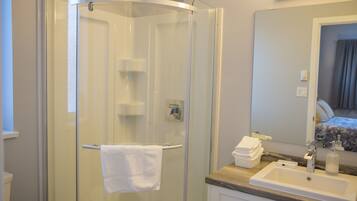 Hair dryer, towels, shampoo, toilet paper
