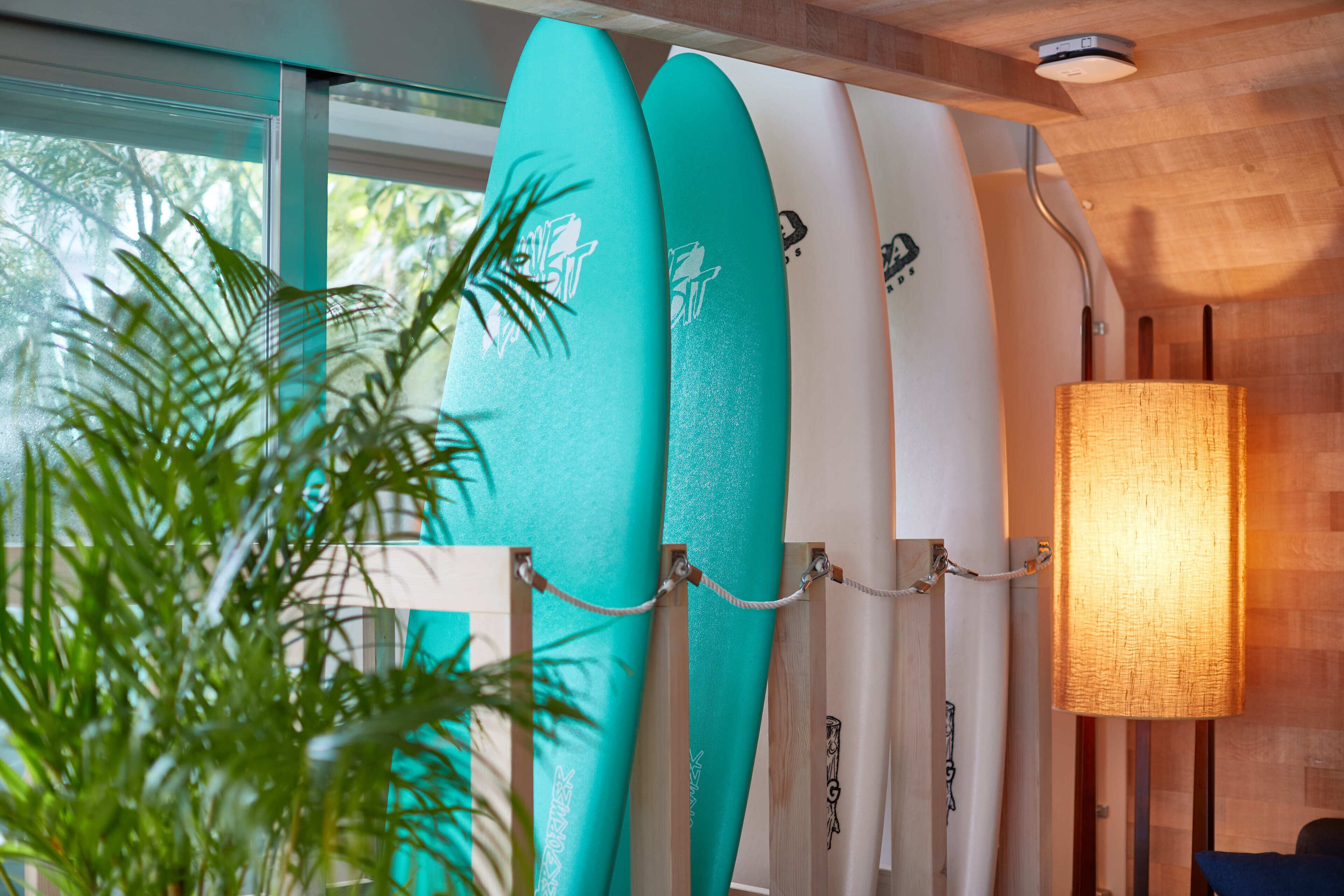 surfing/boogie boarding