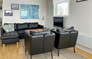 TV, fireplace, DVD player - 3 bedroom stunning home in Snedsted (Snedsted)