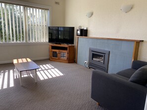 Una Smart TV, una chimenea, un reproductor de DVD