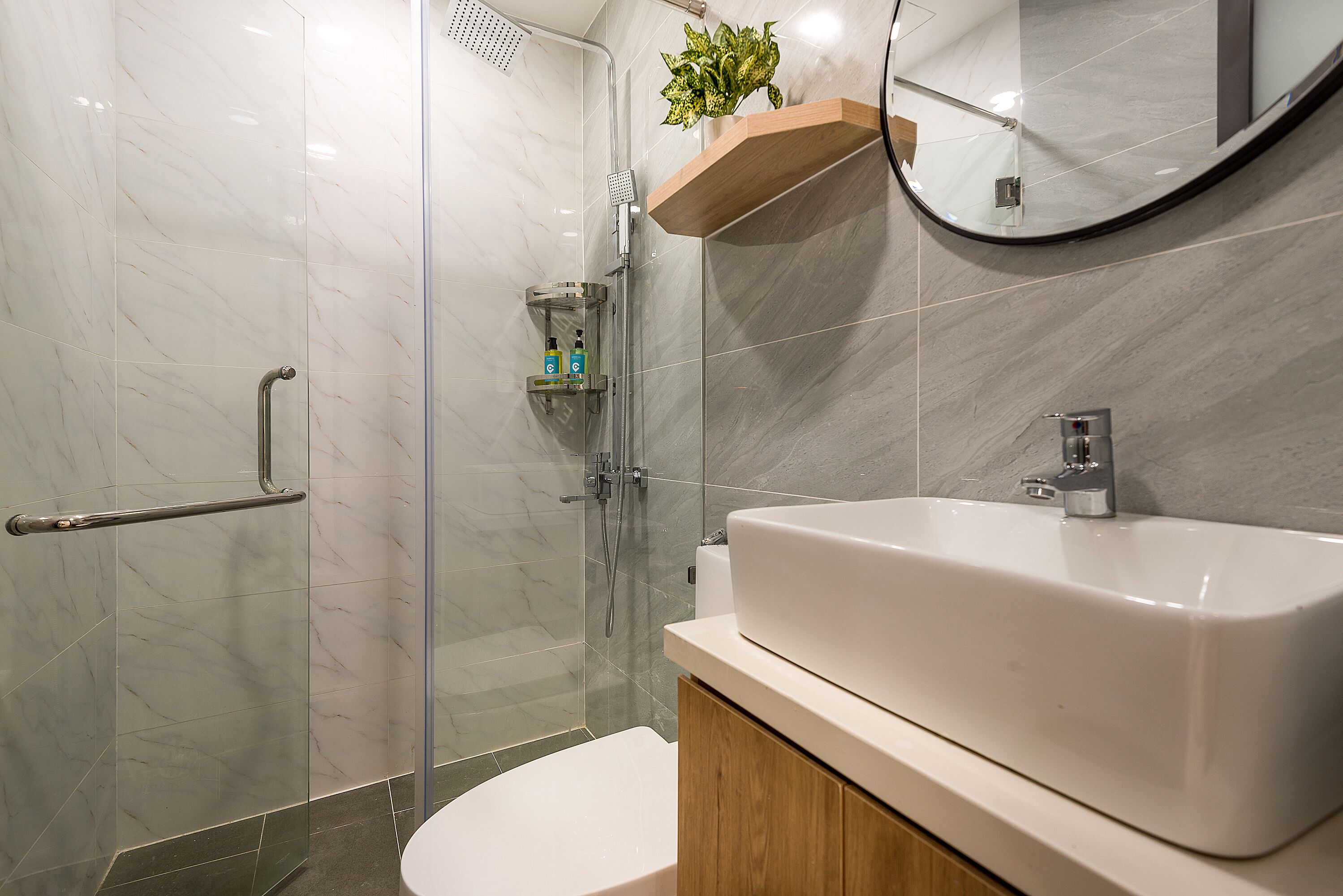 A modern bathroom with a glass-enclosed shower, a white sink, and a wooden shelf with a plant.