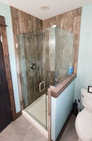 Combined shower/tub, hair dryer, towels