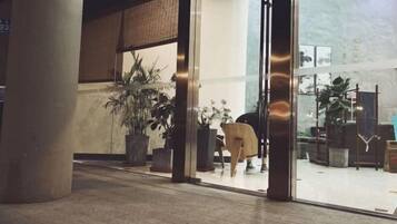 ๋ก๋น ๋ผ์ด์ง