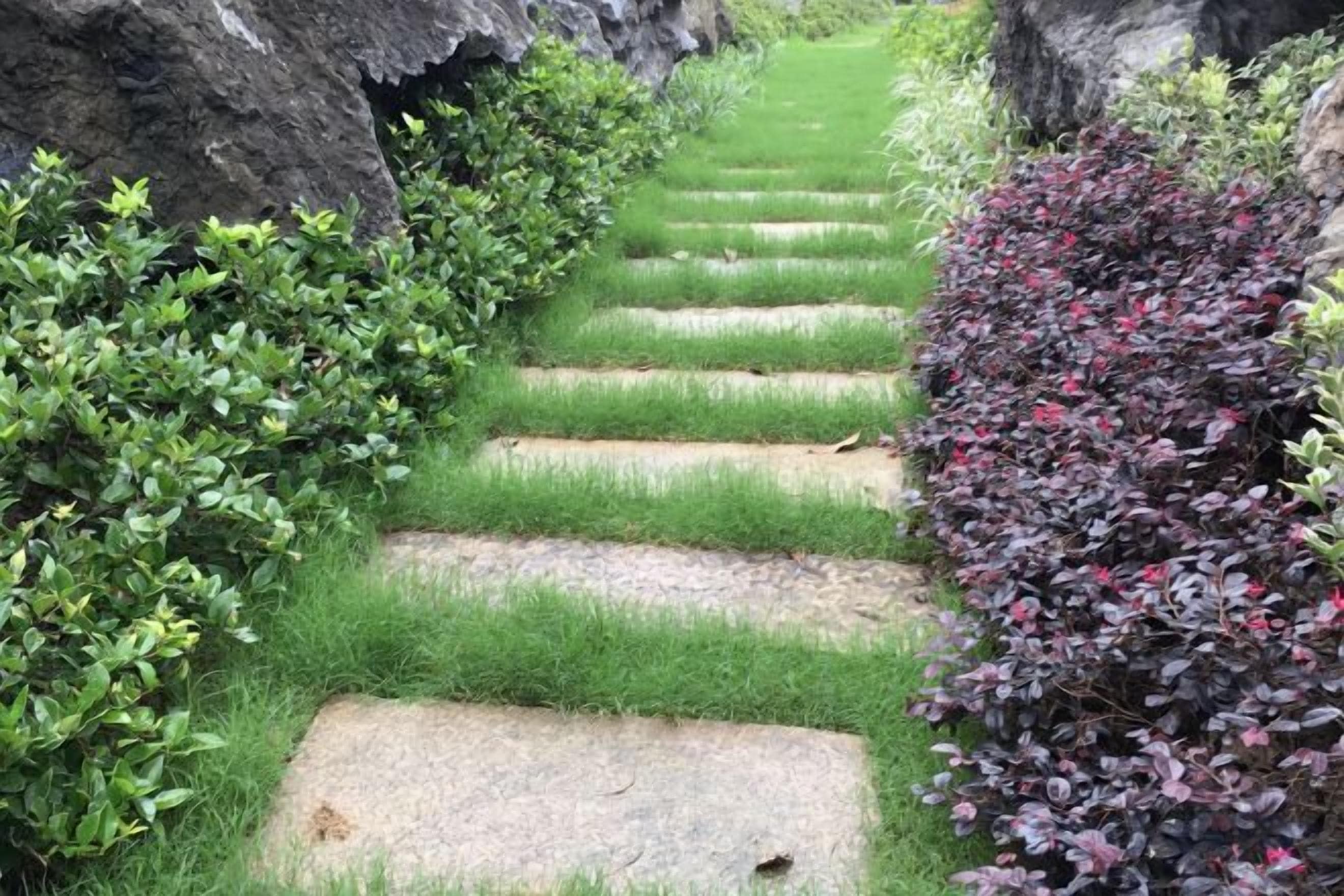 Een pad van stenen, omzoomd door groen gras en struiken, dat door een tuin slingert.