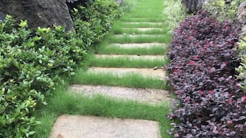 Een pad van stenen, omzoomd door groen gras en struiken, dat door een tuin slingert.
