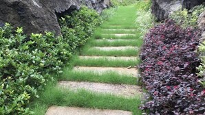 A stone staircase surrounded by lush greenery and shrubs. - Guanfeng Holiday Hotel (Tongxiang)