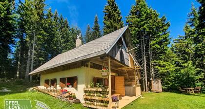 Mountain eco chalet Konjska dolina on 1.400 m a.s.l.