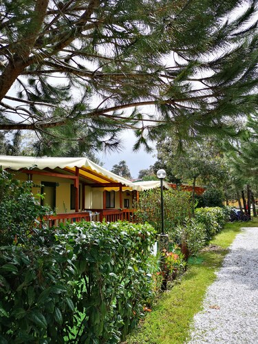 Mobile home on cozy family camping on the coast of Tuscany near Pisa
