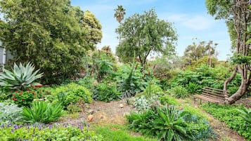 A lush garden with various plants and a wooden bench.