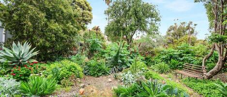 Àrea exterior de l'allotjament