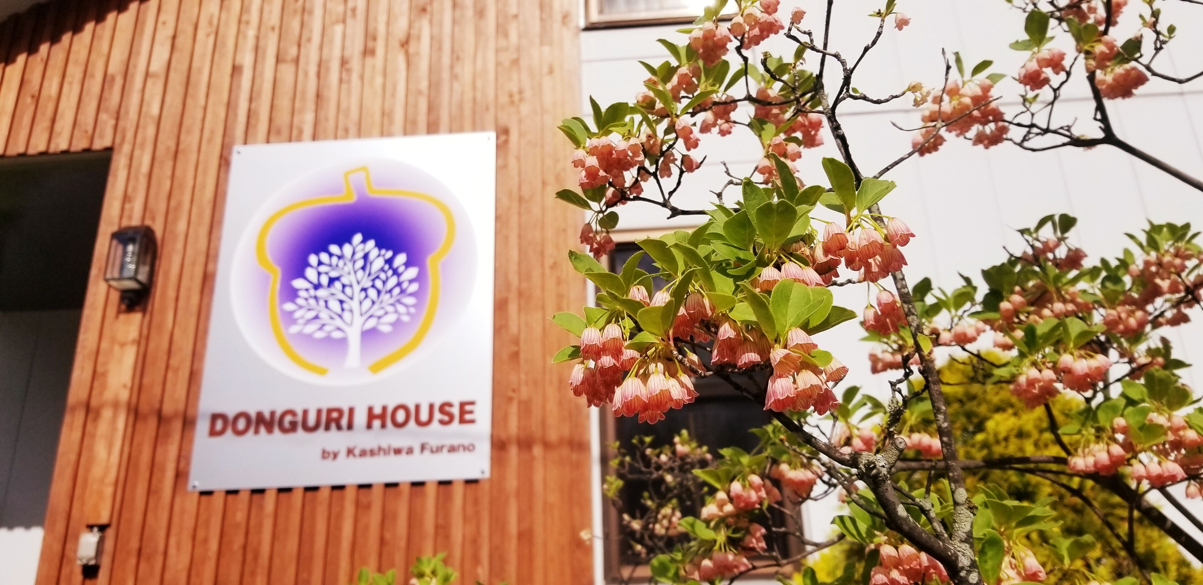 A wooden building with a sign that reads "DONGURI HOUSE by Kashiwa Furano".