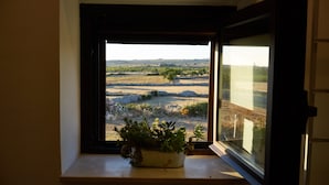 A window with a view of a rural landscape, a potted plant on the windowsill, and a partially open window blind.