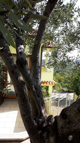 Luminoso appartamento vista mare in tipico borgo a pochi km. da Budoni