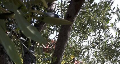 Appartement lumineux vue mer dans un village typique Ă quelques km. de Budoni