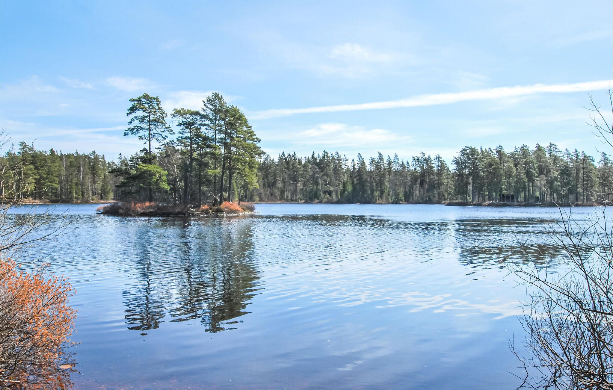 A calm lake surrounded by dense forest.