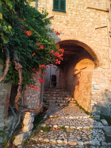 Guest house with private pool 5 minutes from Lac de sainte Croix du Verdon