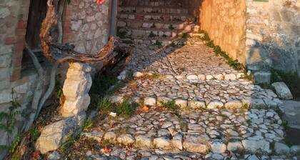 Guest house with private pool 5 minutes from Lac de sainte Croix du Verdon