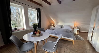 Wohnung Atelier - Willi Ohler Haus