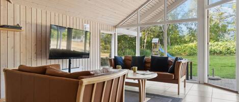 TV, fireplace, table tennis