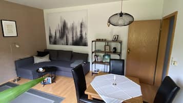 Een televisie, een dvd-speler, boeken en een filmbibliotheek