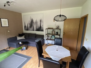 TV, DVD player, books, video library