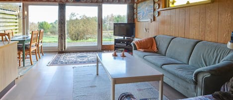 Fernseher, DVD-Player