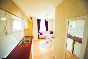 32-英寸液晶电视 （配备卫星频道）、电视