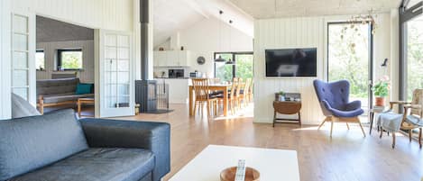 Télévision, cheminée, lecteur de DVD, table de tennis de table