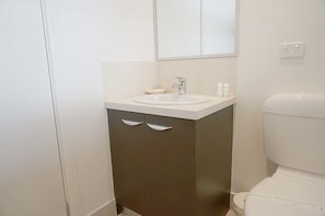 Separate bathtub and shower, free toiletries, hair dryer