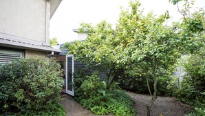 Niet-geclassificeerde afbeelding, 4 van 13, knop