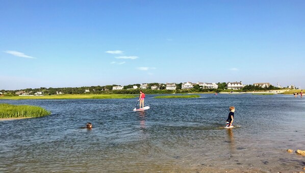 A waterfront scene with a person paddleboarding, others swimming, and houses in the background. - Spacious, private cottage just a few minutes walk to Ridgevale Beach! (Chatham)