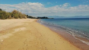 Ein Strand mit blauem Himmel und ruhigem Wasser.