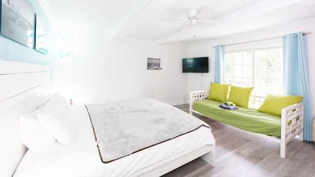 Un dormitorio con cama, sofá, televisor y ventana con cortinas.