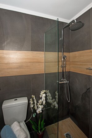 Regadera, secadora de cabello, toallas, shampoo 